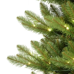 Pre-Lit Christmas Trees*The Holiday Aisle 7' 6