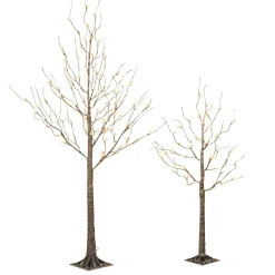 Pre-Lit Christmas Trees*Greyleigh 5' 6" H Slender Brown Pine Christmas Tree With 88 Led Lights