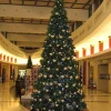 Pre-Lit Christmas Trees*Holiday Tree 240'' Christmas Tree