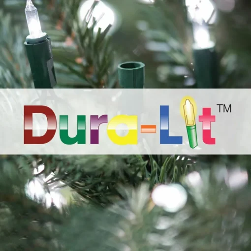 Pre-Lit Christmas Trees*The Holiday Aisle 10' Green Fir Artificial Christmas Tree With 800 Clear Lights