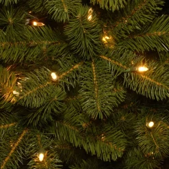Pre-Lit Christmas Trees*Mercury Row 90' Green Fir Artificial Christmas Tree With 350 Color + Clear Lights