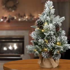 Pre-Lit Christmas Trees*The Holiday Aisle 2' Green Pine Artificial Christmas Tree With 35 Clear/White Lights