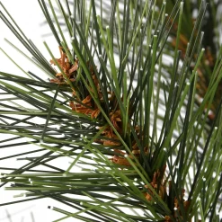 Pre-Lit Christmas Trees*The Holiday Aisle 3' H Green Pine Artificial Christmas Tree With 50 Led Lights