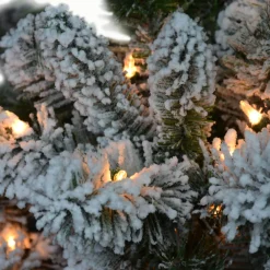 Pre-Lit Christmas Trees*The Holiday Aisle 4.5' Lighted Artificial Pine Christmas Tree - Stand Included