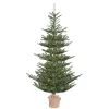Pre-Lit Christmas Trees*The Holiday Aisle Alberta Spruce Artificial Christmas Tree