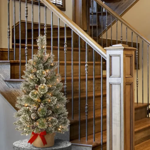 Pre-Lit Christmas Trees*The Holiday Aisle Benjamin-James 3' H Green Pine Artificial Pine Flocked/Frosted Christmas Tree With 35 Lights And Pinecones