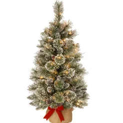Pre-Lit Christmas Trees*The Holiday Aisle Benjamin-James 3' H Green Pine Artificial Pine Flocked/Frosted Christmas Tree With 35 Lights And Pinecones