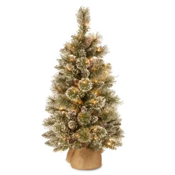 Pre-Lit Christmas Trees*The Holiday Aisle Benjamin-James 3' H Green Pine Artificial Pine Flocked/Frosted Christmas Tree With 35 Lights And Pinecones
