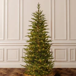 Pre-Lit Christmas Trees*Beachcrest Home Frasier Grande 7.6' Green Fir Artificial Christmas Tree With 600 Clear/White Lights