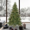 Pre-Lit Christmas Trees*Andover Mills Galarza Artificial Christmas Tree