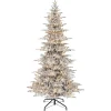 Pre-Lit Christmas Trees*The Holiday Aisle Gervon 9' H Slender Green Realistic Artificial Fir Christmas Tree With 550 Lights