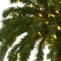 Pre-Lit Christmas Trees*The Holiday Aisle Green Tropical Feather Christmas Tree With Led Lights