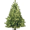 Pre-Lit Christmas Trees*Three Posts Kincaid Spruce 4' Green Christmas Tree With 100 Clear/White Lights