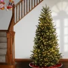 Pre-Lit Christmas Trees*Red Barrel Studio Natural Fraser Fir Lighted Artificial Fraser Fir Christmas Tree - Stand Included