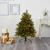 Pre-Lit Christmas Trees*The Holiday Aisle North Carolina 7' Green Fir Artificial Christmas Tree With 550 Colored And Clear Lights