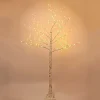Pre-Lit Christmas Trees*The Holiday Aisle Patch Magic Led 7' White Birch Artificial Christmas Tree With 160 Clear/White Lights